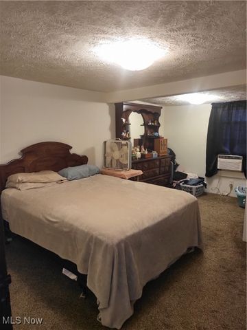 60490 Main Street, Jacobsburg, OH 43933