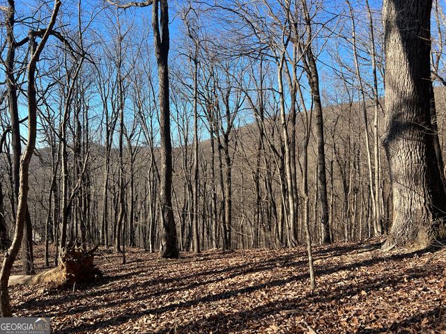 0 Sassafras Court 4546, Jasper, GA 30143