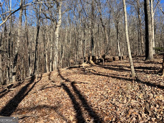 0 Sassafras Court 4546, Jasper, GA 30143