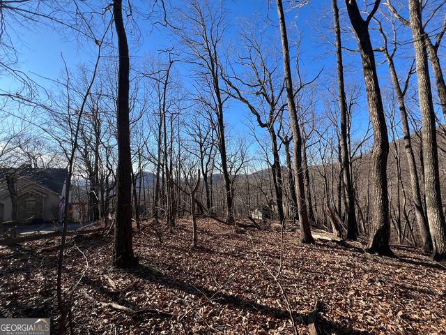 0 Sassafras Court 4546, Jasper, GA 30143