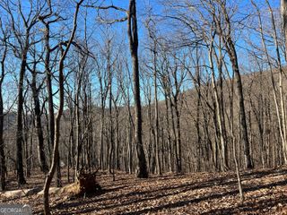 0 Sassafras Court 4546, Jasper, GA 30143