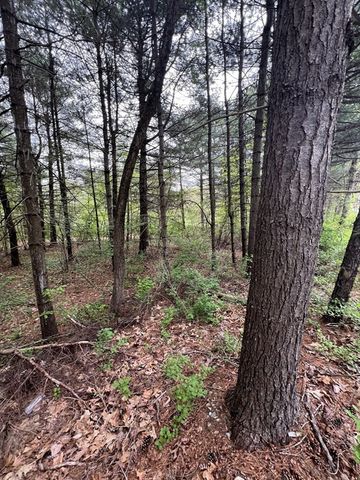 62-91 Lawrence Street, Palmer, MA 01069