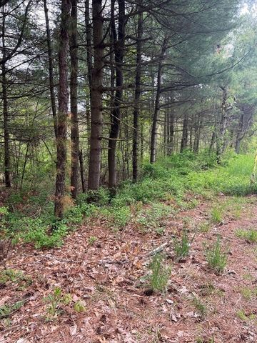 62-91 Lawrence Street, Palmer, MA 01069