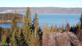 L20 Pomeroy Road, Homer, AK 99603