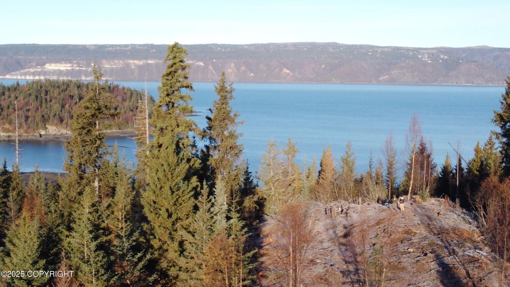 L20 Pomeroy Road, Homer, AK 99603