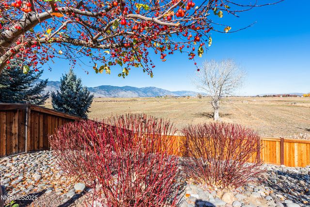1046 Rocky Terrace Drive, Gardnerville, NV 89460