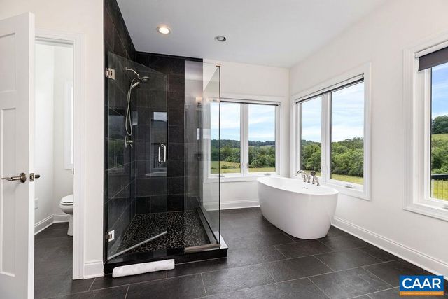 61 HILLSIDE LN, Afton, VA 22920