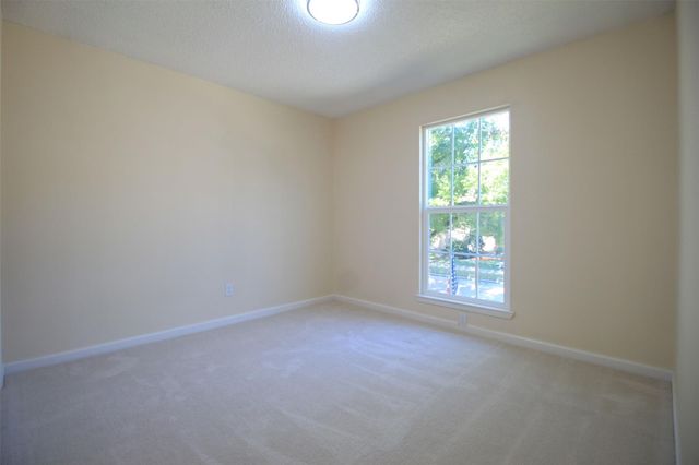 8011 Goldengrove Drive, Spring, TX 77379