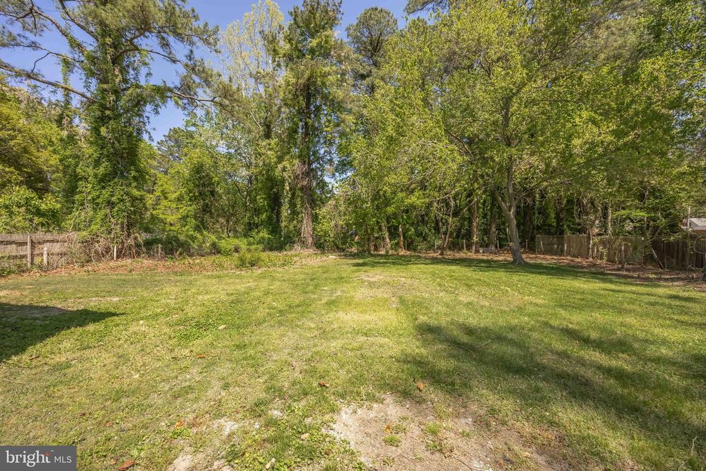 Image 69 of property listing at 421 W MAIN ST, Fruitland, MD 21826