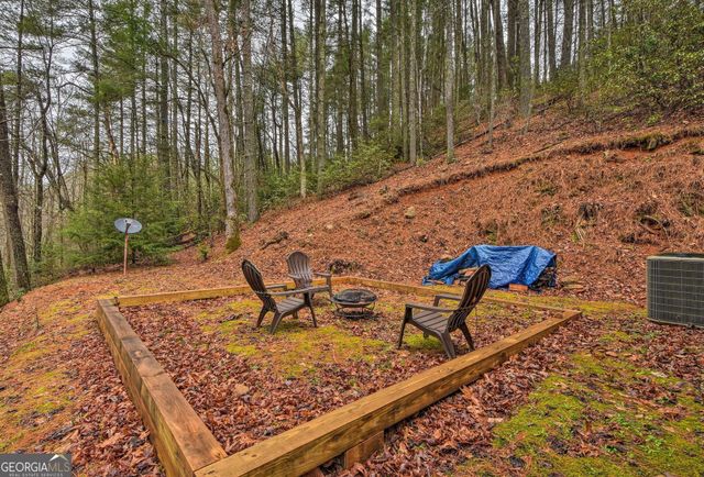 807 Little Rock Creek Road, Cherry Log, GA 30522