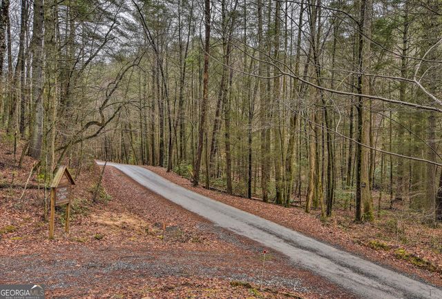 807 Little Rock Creek Road, Cherry Log, GA 30522