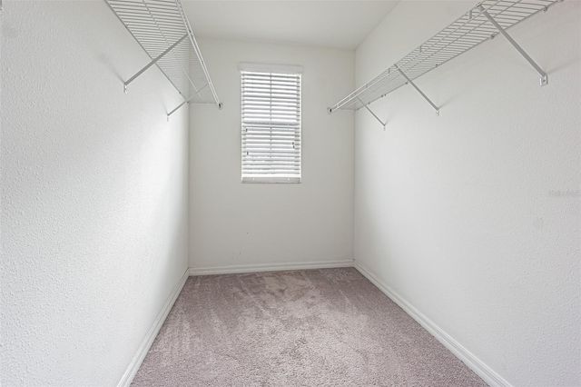 17009 PEACEFUL VALLEY DRIVE, Wimauma, FL 33598