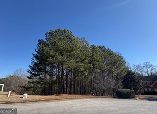 4290 Bronte Lane, Douglasville, GA 30135