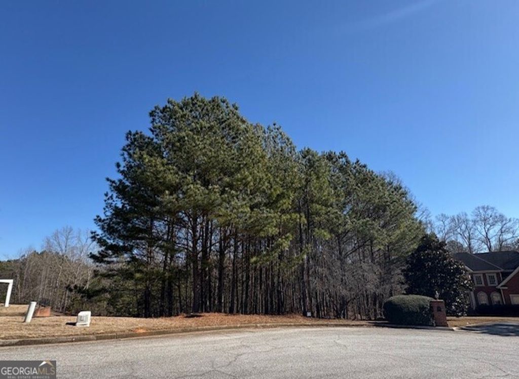 4290 Bronte Lane, Douglasville, GA 30135