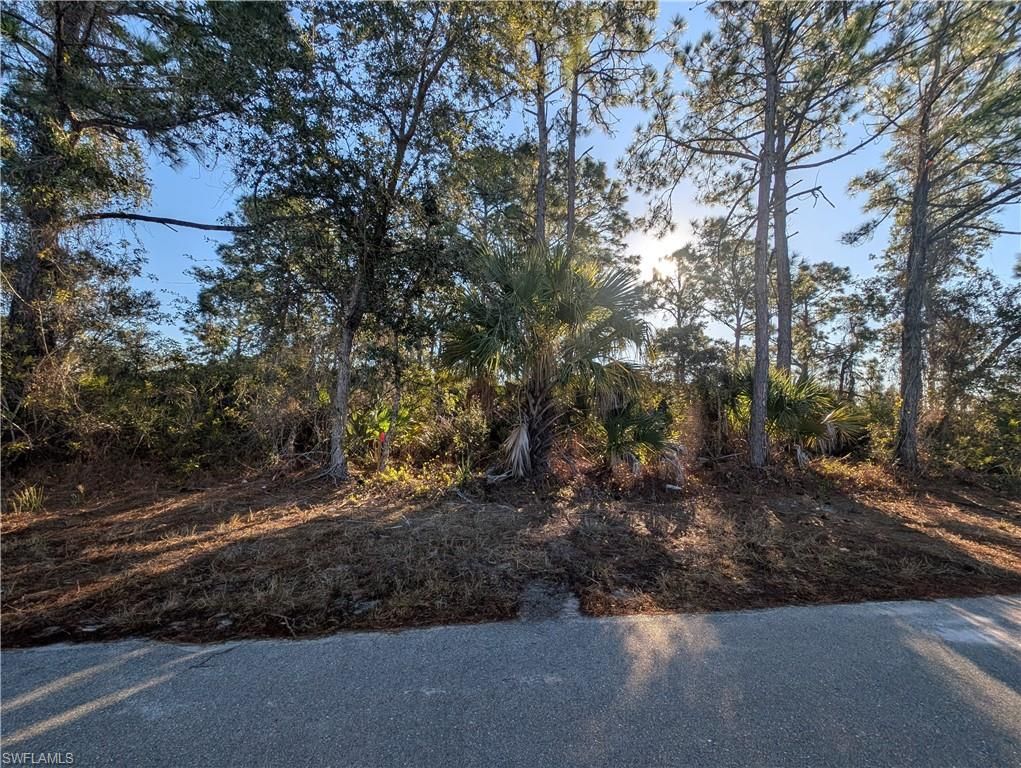 6004 Olive AVE N, LEHIGH ACRES, FL 33971 — photo 4