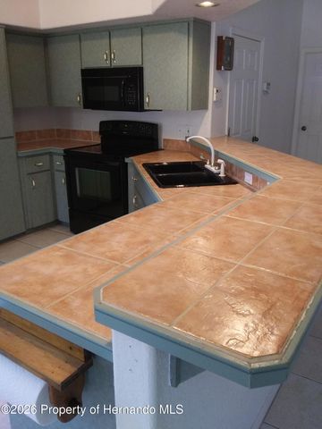 14116 Mulkerin Drive, Weeki Wachee, FL 34614