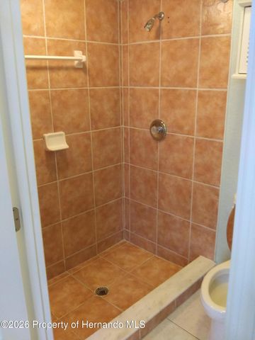 14116 Mulkerin Drive, Weeki Wachee, FL 34614