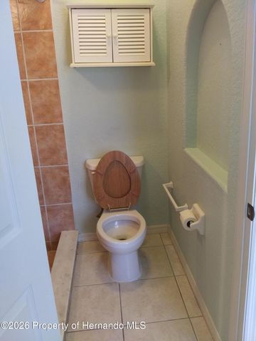 14116 Mulkerin Drive, Weeki Wachee, FL 34614