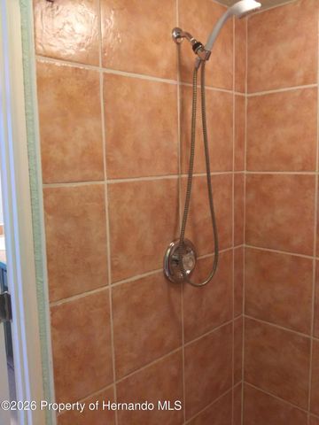 14116 Mulkerin Drive, Weeki Wachee, FL 34614