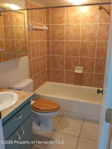 14116 Mulkerin Drive, Weeki Wachee, FL 34614