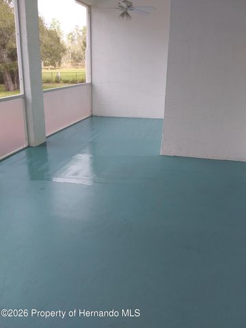 14116 Mulkerin Drive, Weeki Wachee, FL 34614