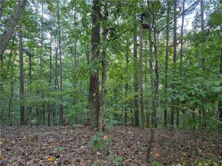 0 Old Goodie Mtn SE Road, Cartersville, GA 30120