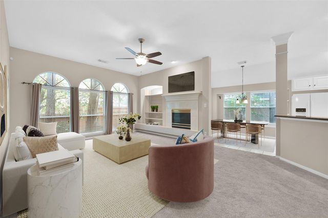 14 Tethered Vine Place, The Woodlands, TX 77382