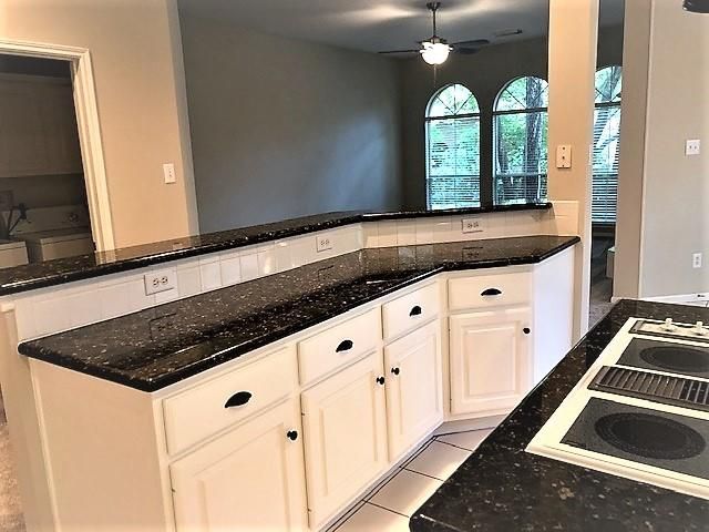 14 Tethered Vine Place, The Woodlands, TX 77382