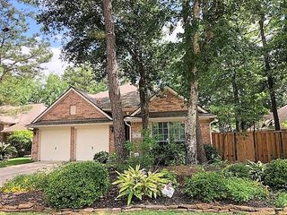 14 Tethered Vine Place, The Woodlands, TX 77382