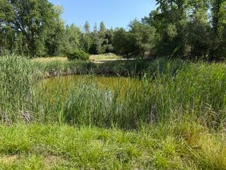 7780 Raven Road, Redding, CA 96001