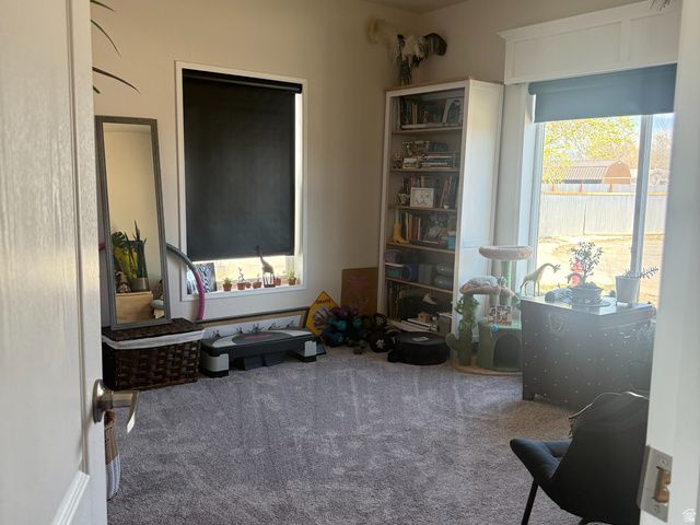 704 E PINE ST, Wellington, UT 84542