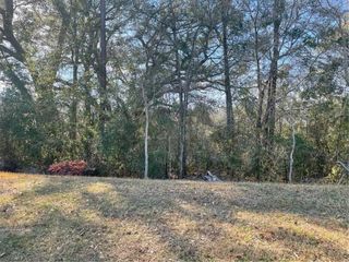 0 Windy Leaf Drive, Grand Bay, AL 36541