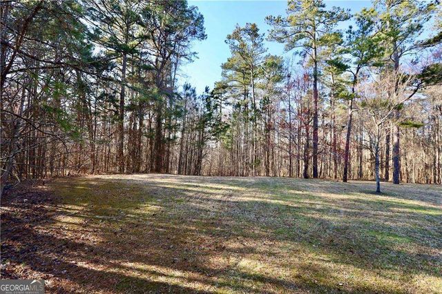 460 Chandler Bluff Court, Grayson, GA 30017