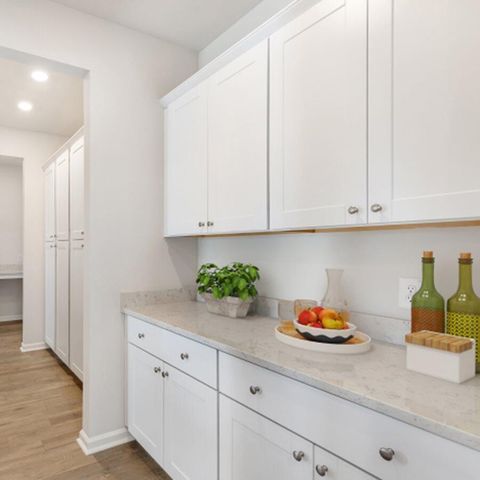 1010 Patagonia Street, Summerville, SC 29485