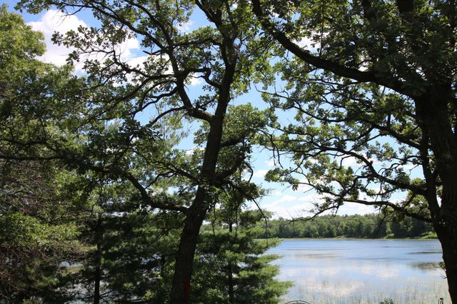 39817 Osage Drive, Browerville, MN 56438