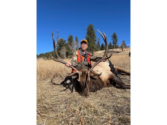 12414 S US Hwy 285, Conifer, CO 80433