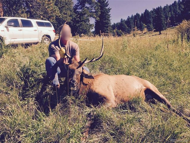 12414 S US Hwy 285, Conifer, CO 80433