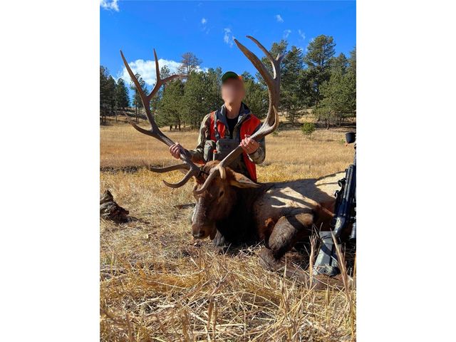 12414 S US Hwy 285, Conifer, CO 80433