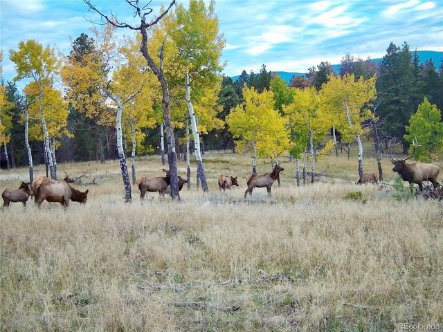 12414 S US Hwy 285, Conifer, CO 80433