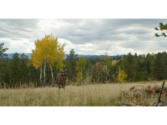 12414 S US Hwy 285, Conifer, CO 80433