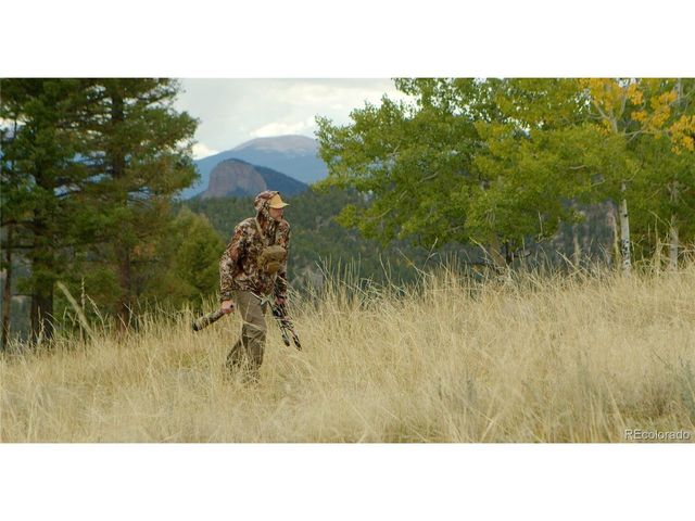 12414 S US Hwy 285, Conifer, CO 80433