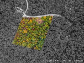 Lot 14 WILDWOOD LN, Shenandoah, VA 22849