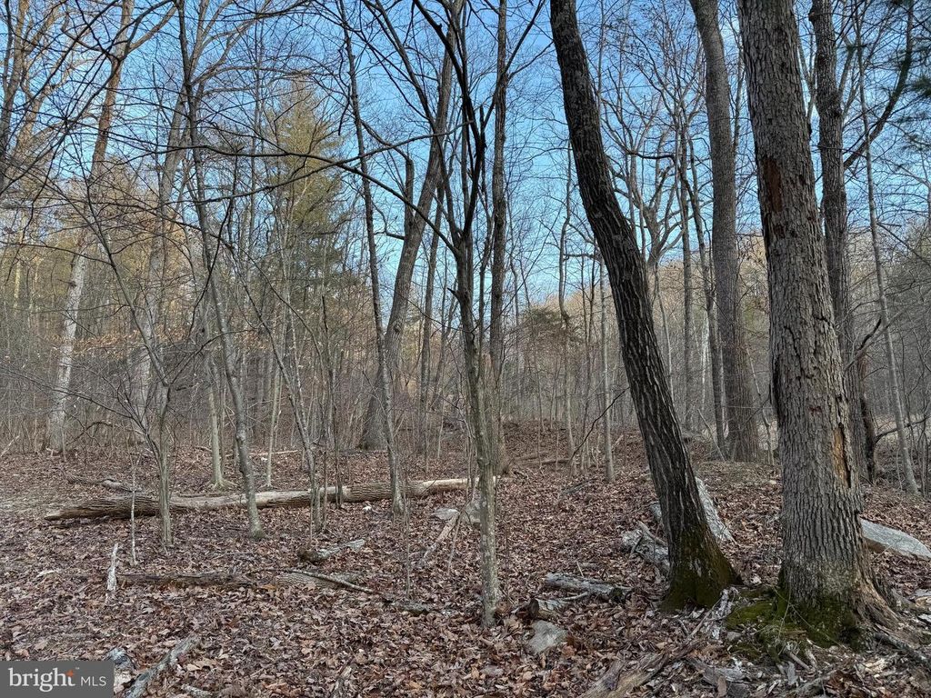 LOT 90A,91A,129,130,131 VESEY DR, Front Royal, VA 22630