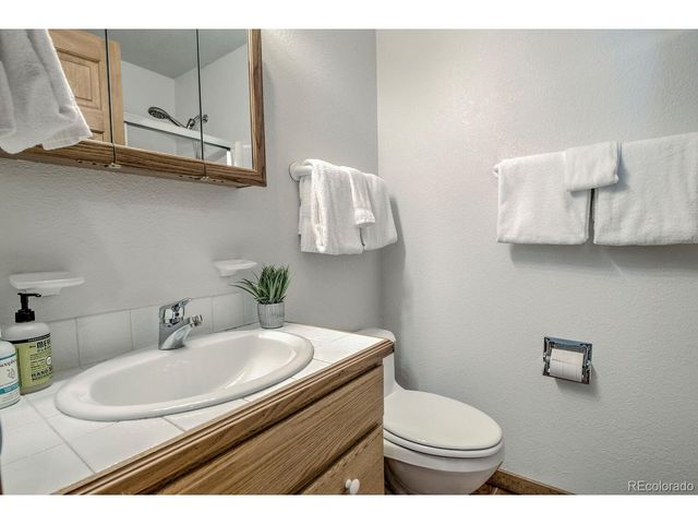 154 Lakeside Dr, Fairplay, CO 80440