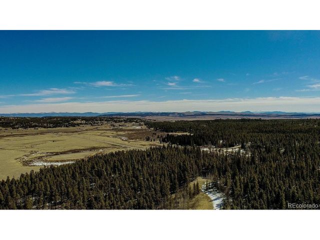 154 Lakeside Dr, Fairplay, CO 80440