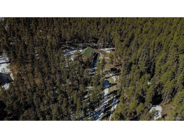 154 Lakeside Dr, Fairplay, CO 80440