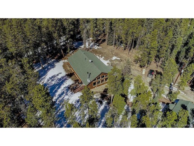 154 Lakeside Dr, Fairplay, CO 80440