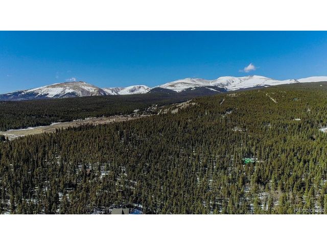 154 Lakeside Dr, Fairplay, CO 80440