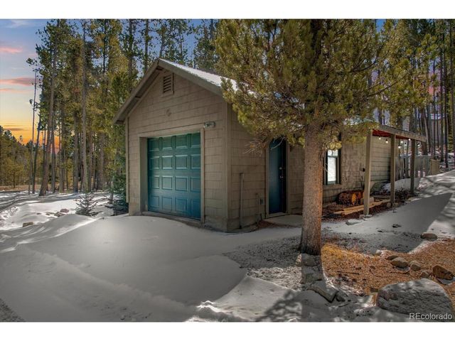 154 Lakeside Dr, Fairplay, CO 80440