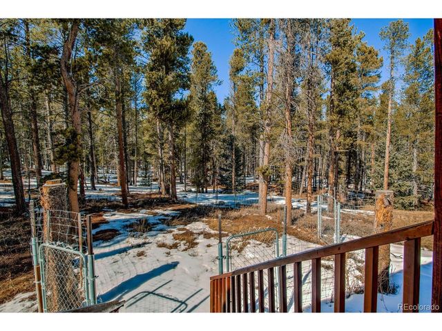 154 Lakeside Dr, Fairplay, CO 80440